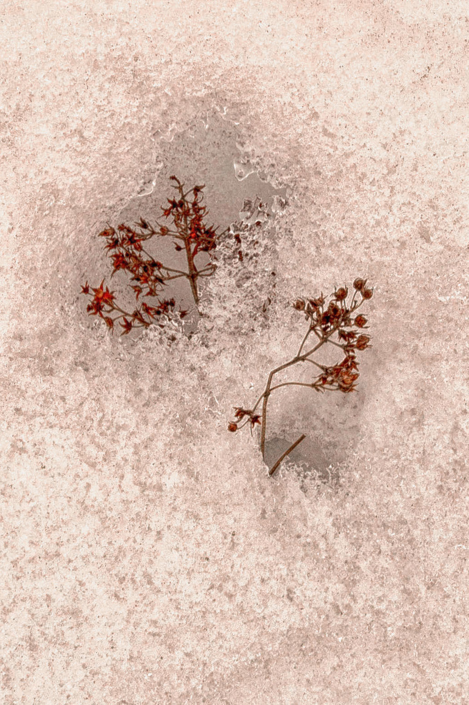 Жизнь вокруг