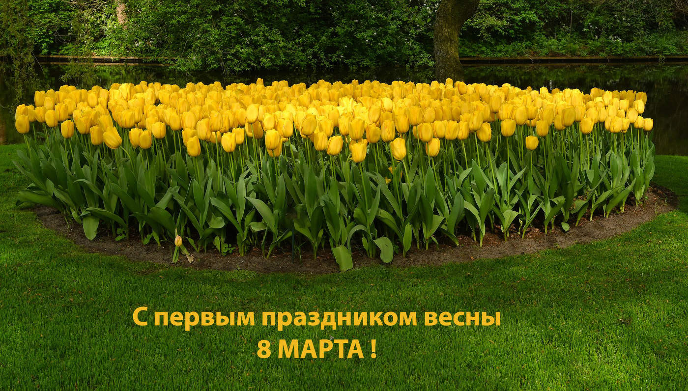 С Днем 8 Марта,дорогие Женщины!