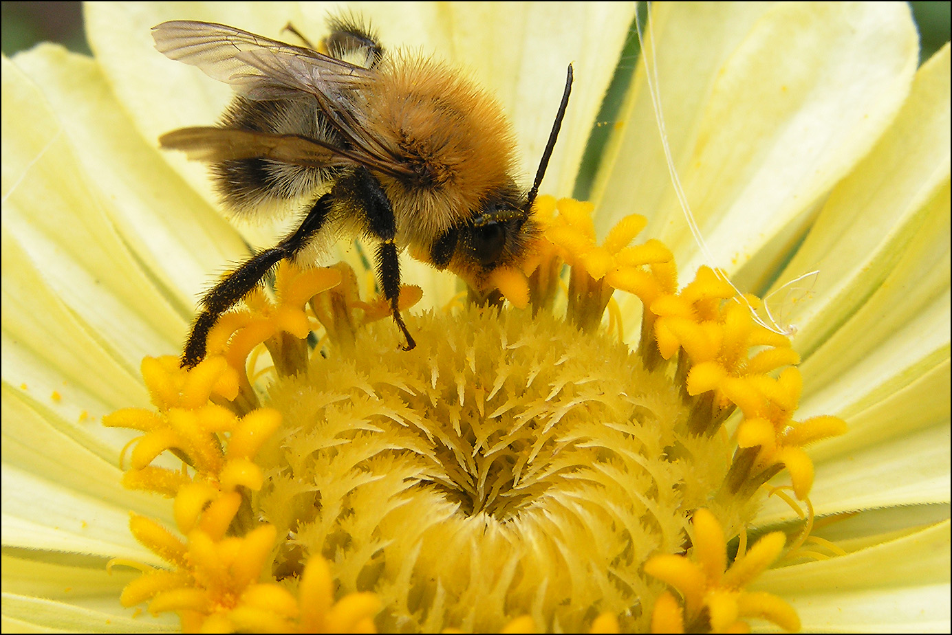 С праздником!