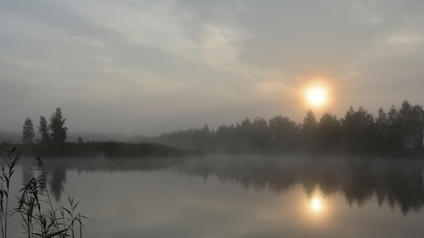 Туманное утро на озере