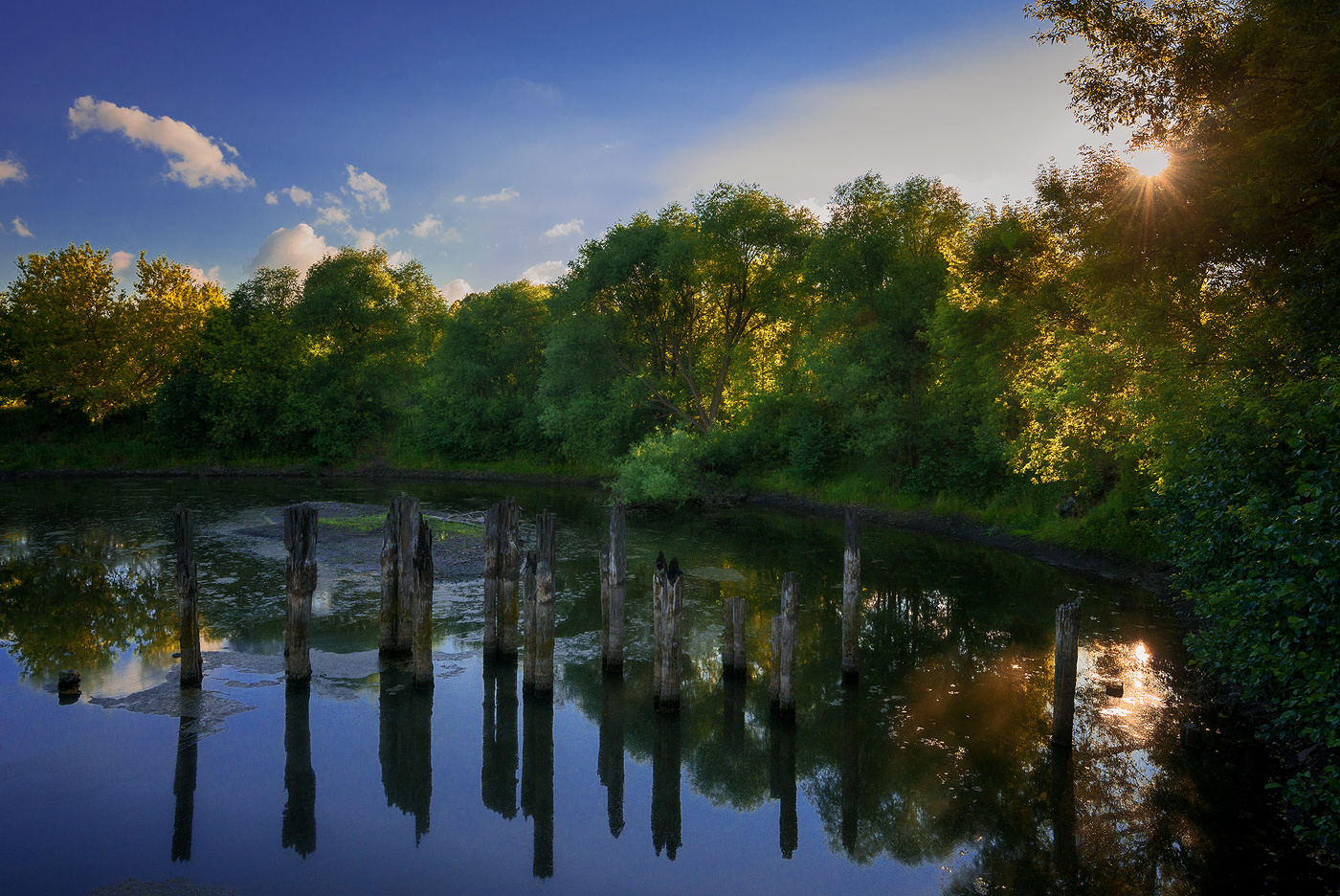 Старый пруд...
