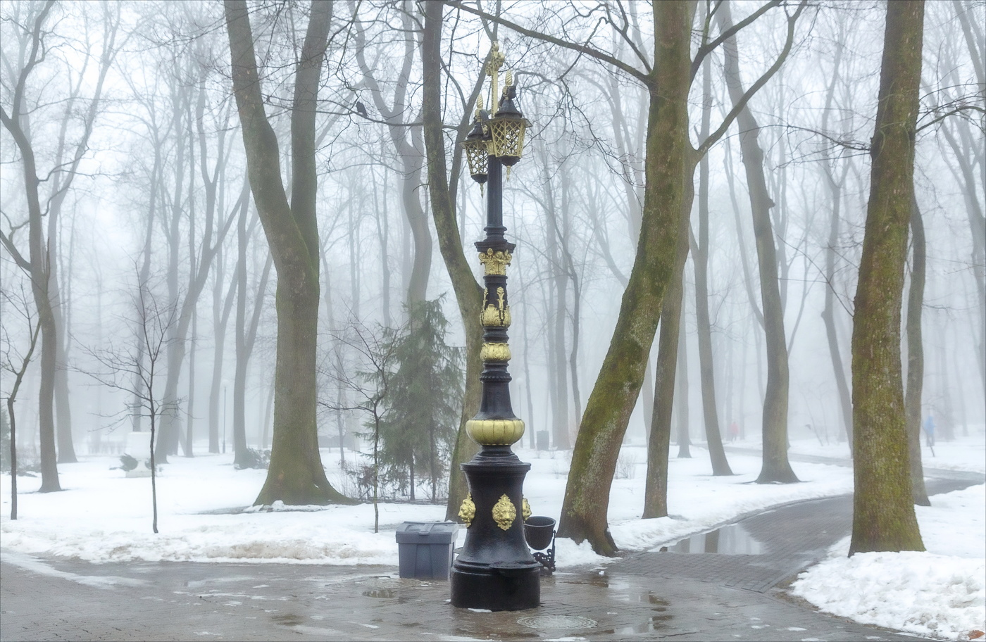 В ПАРКЕ БРОДИТ ТУМАН