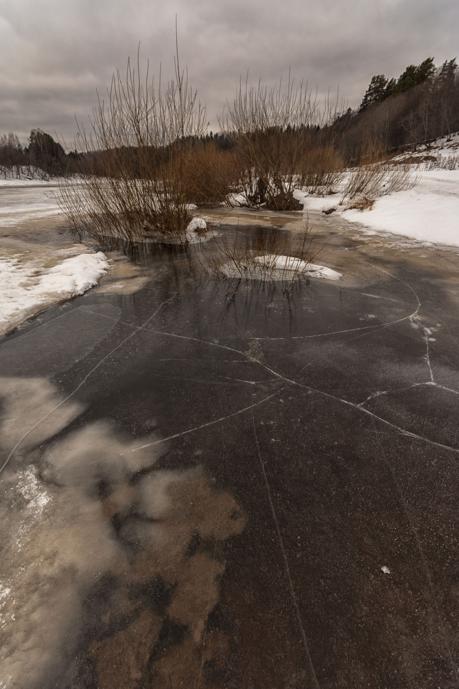 Жизнь вокруг