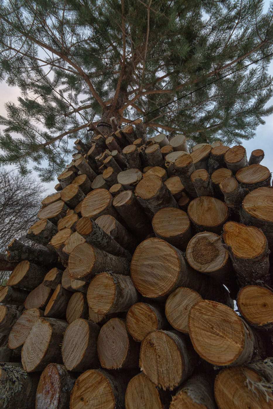 Жизнь вокруг