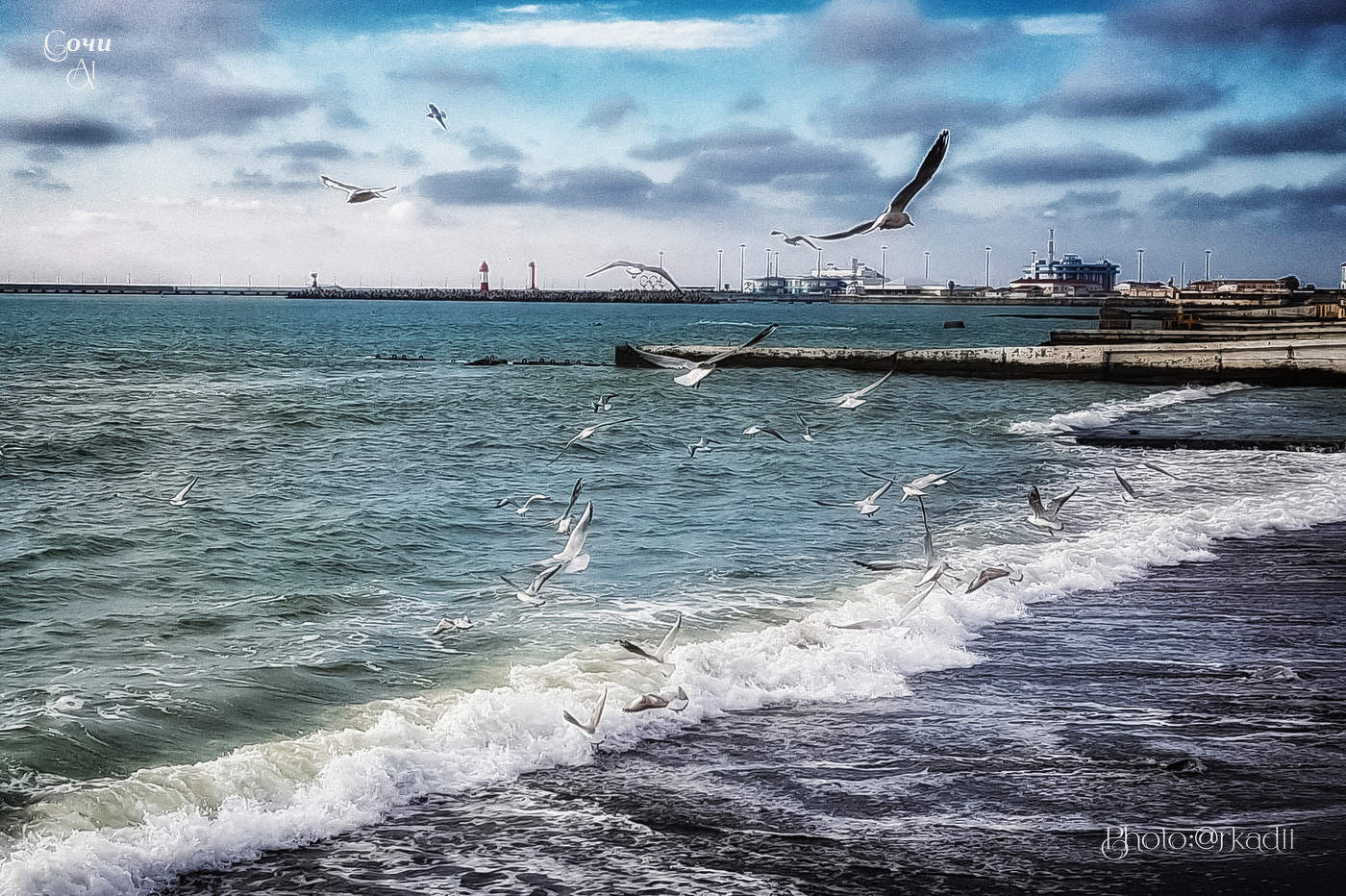 Чайки кружат...