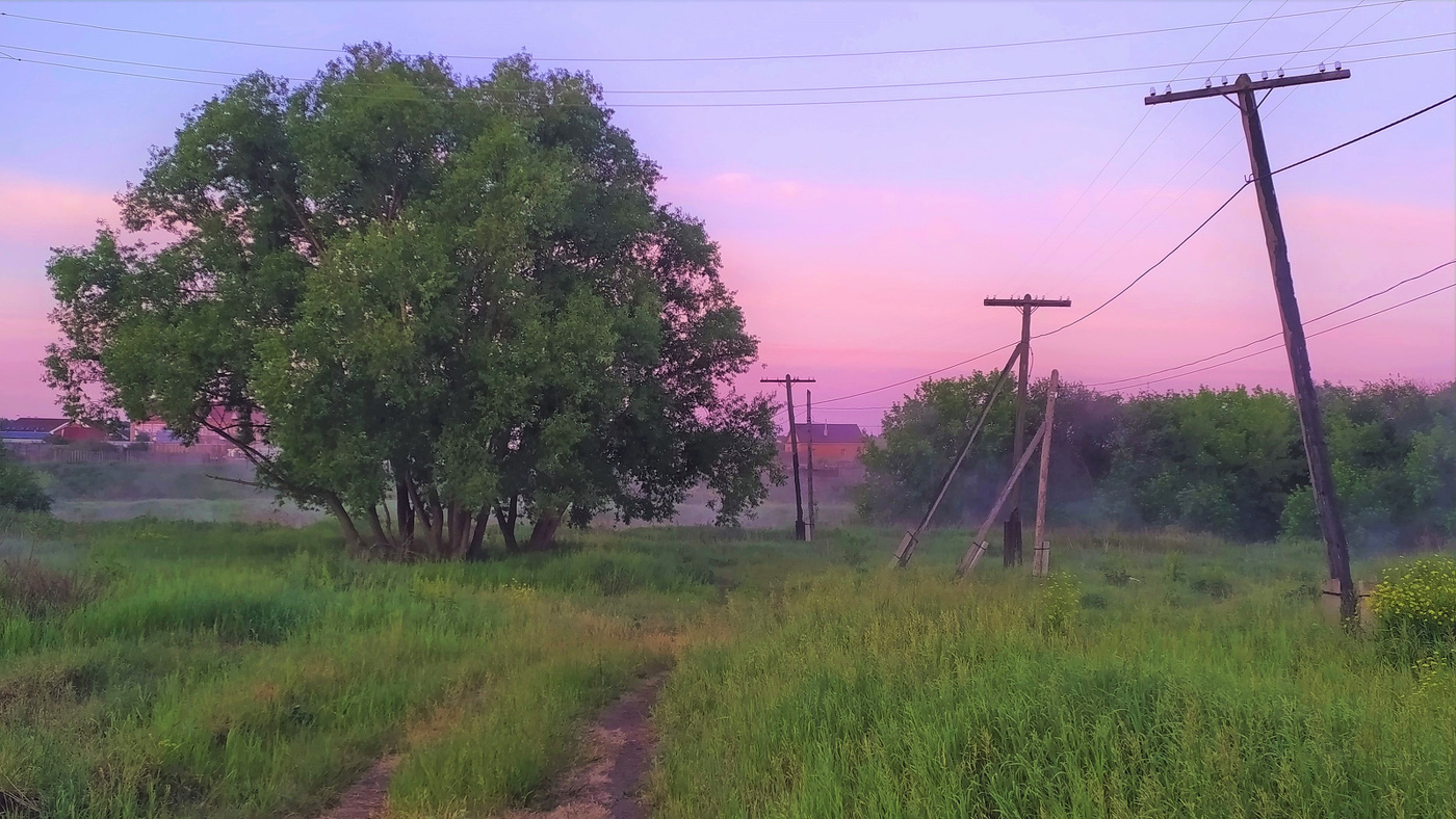 Ранее летнее утро