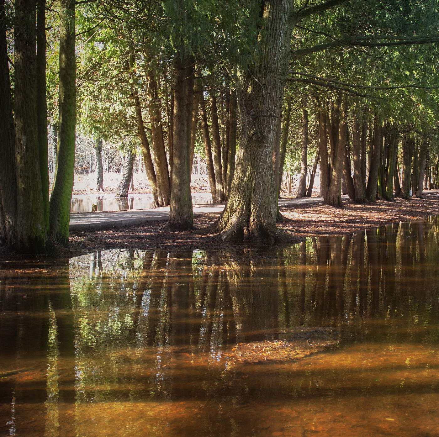 Весенний этюд