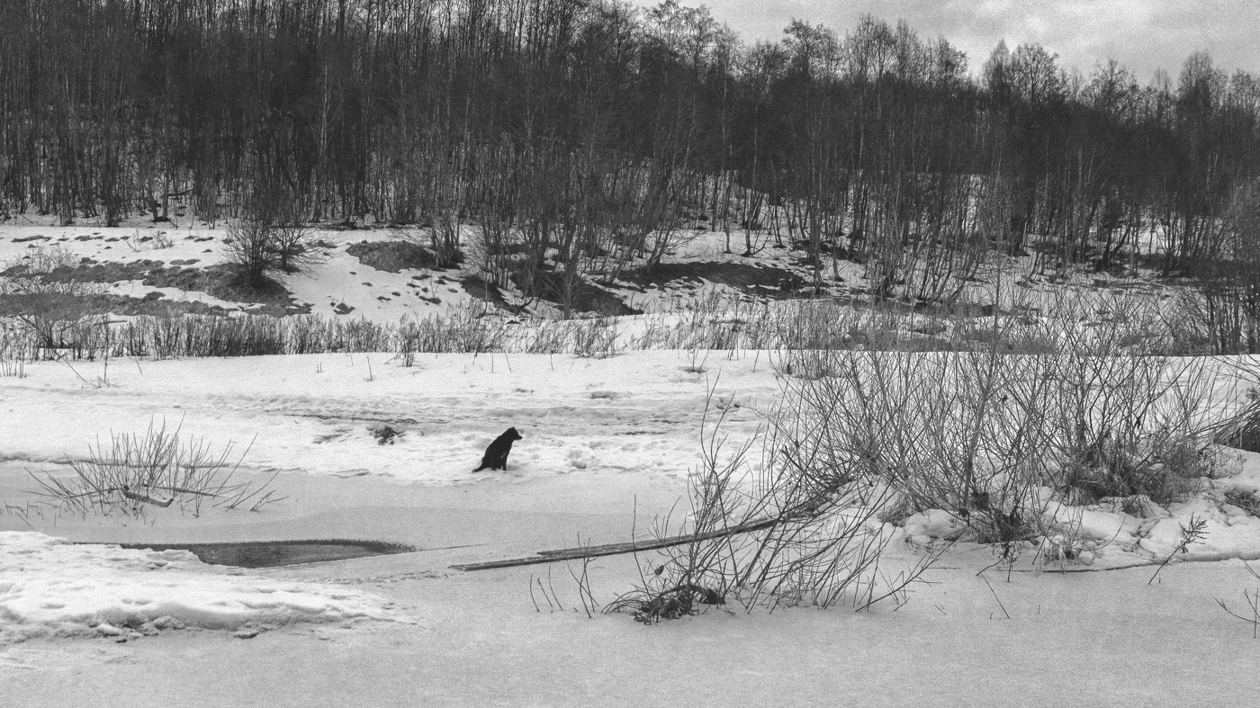 Жизнь вокруг