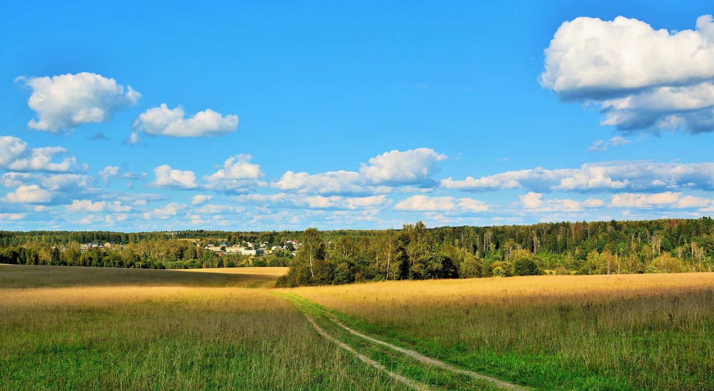 Дорога полем ...
