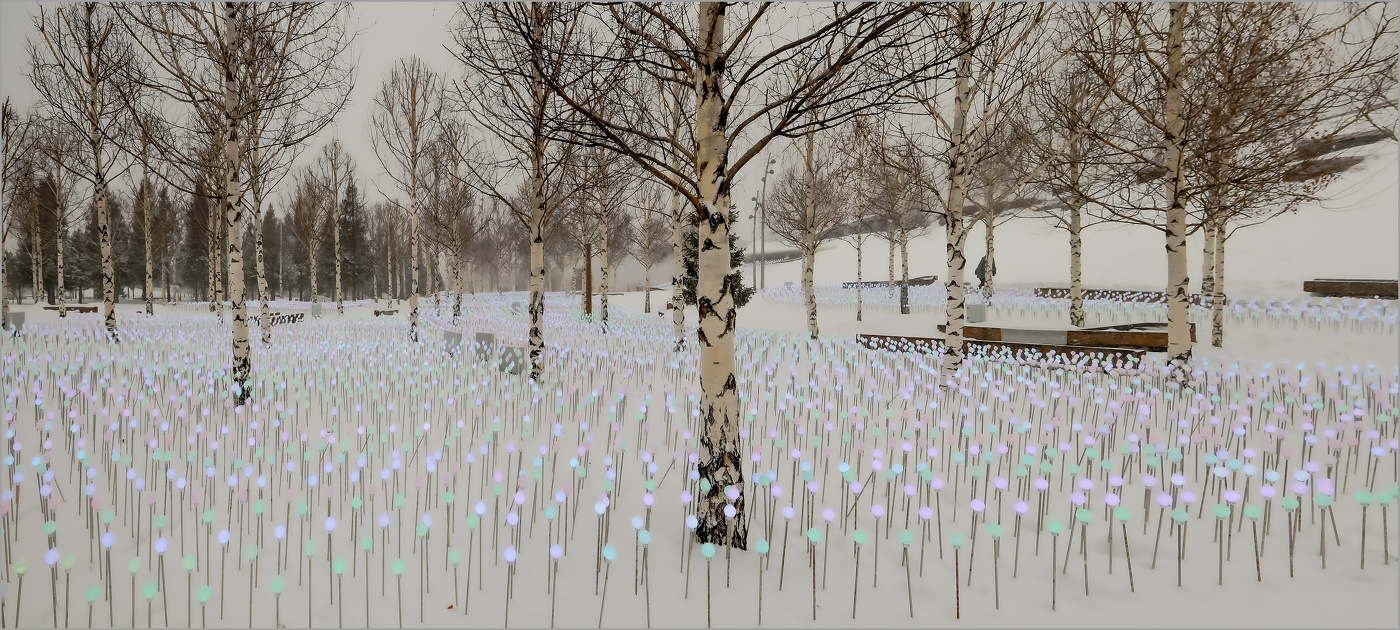 Подснежники