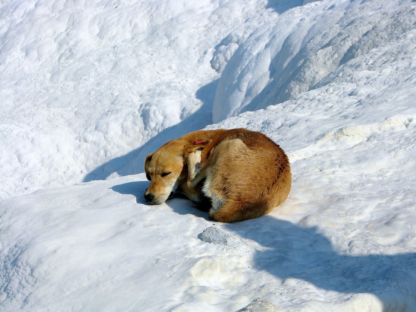 Солнечные ванны!