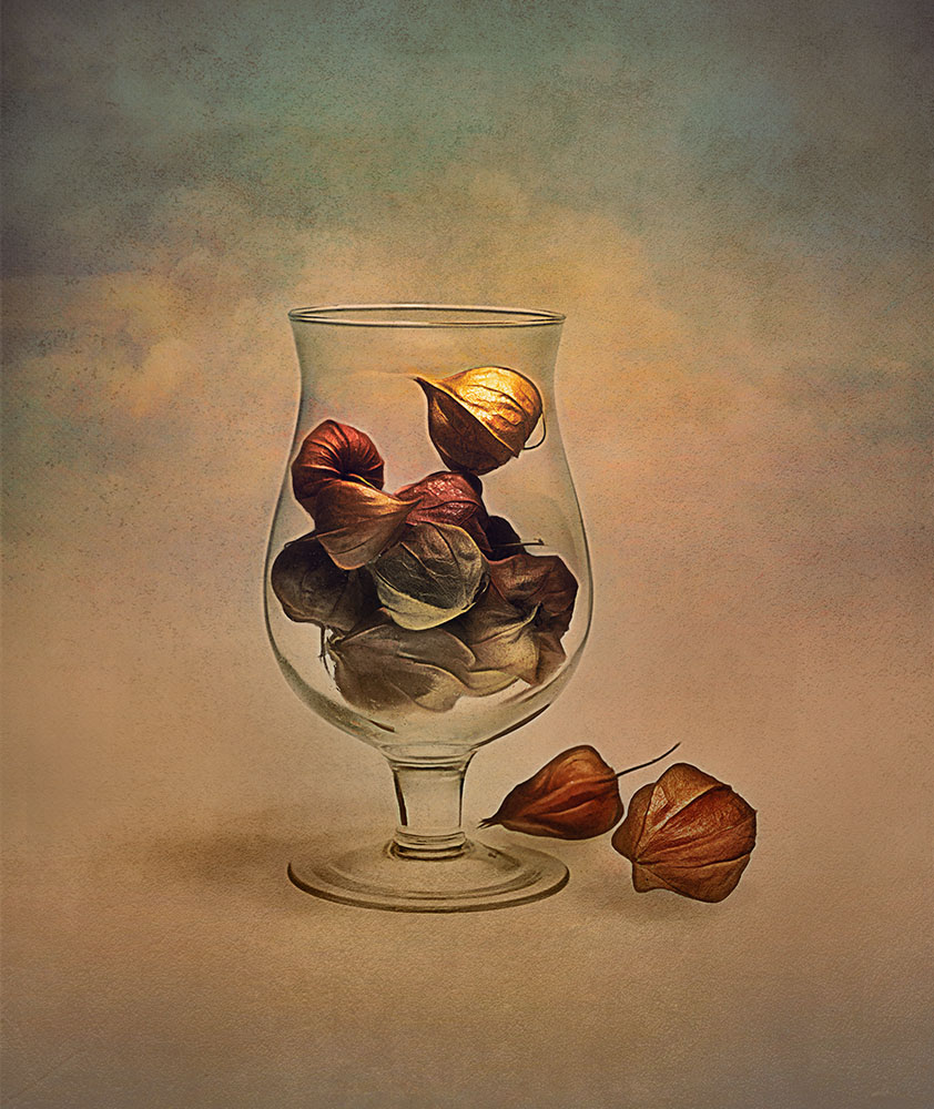 этюд с физалисами