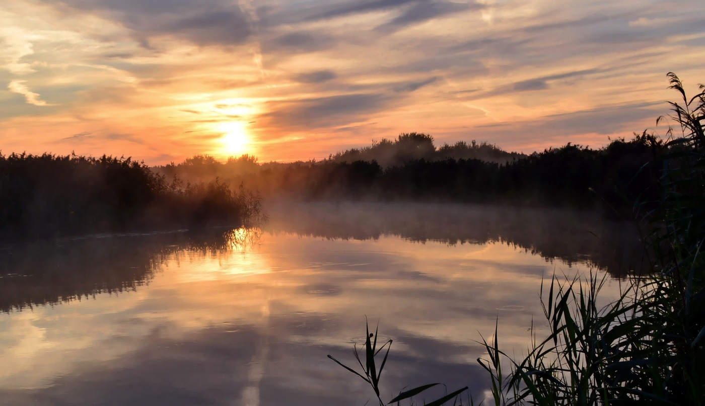 Утро на реке