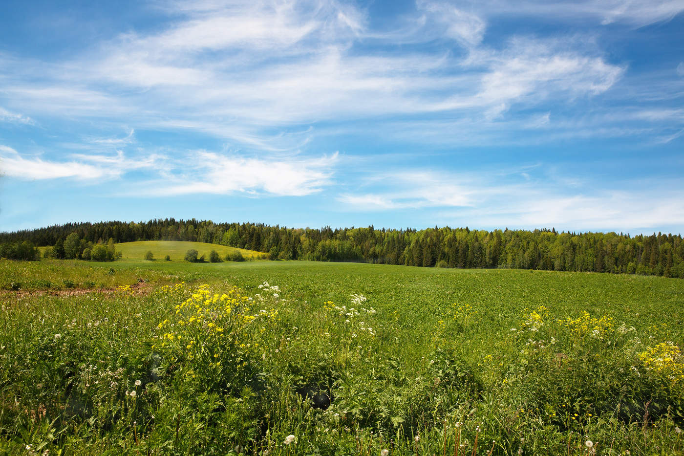 "Небесные фантазии".