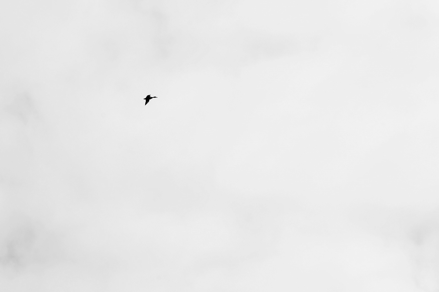 Интраверт ...