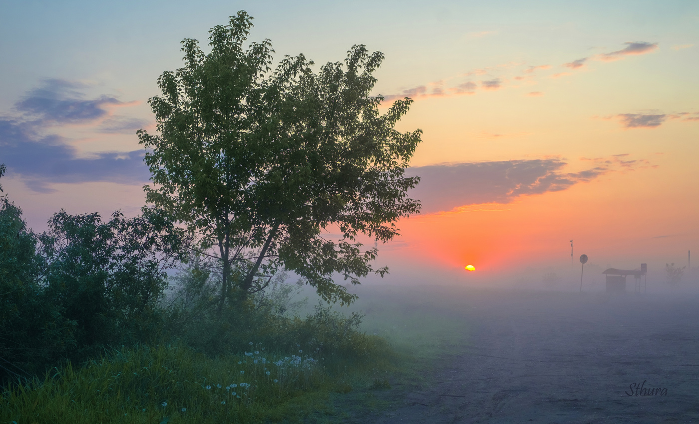 Весенний рассвет.