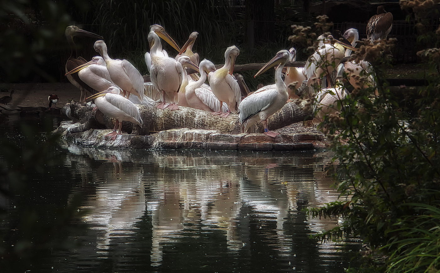 На островке