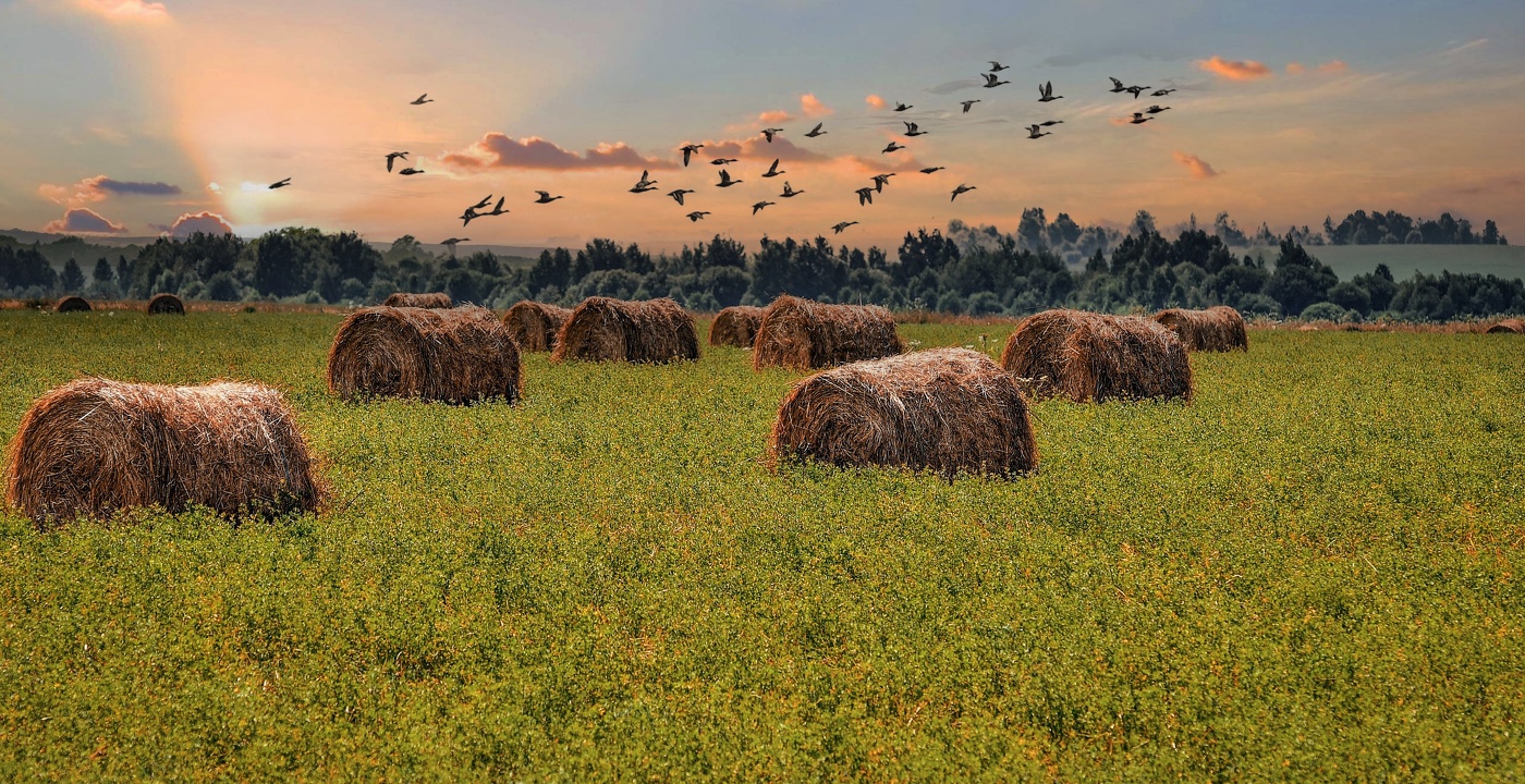 Осенний пейзаж.