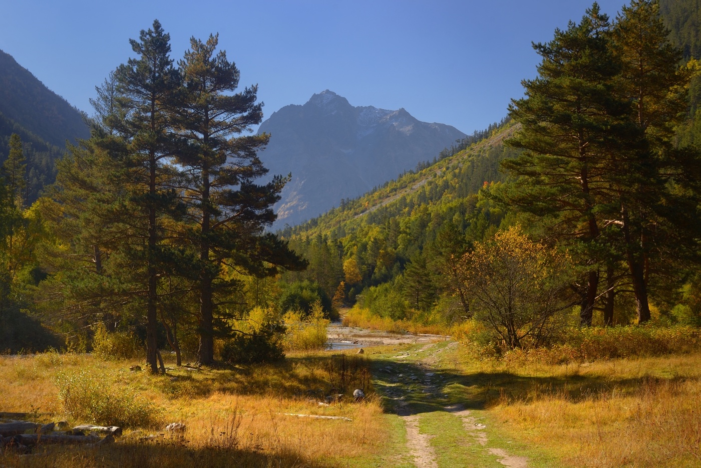 Уходила осень