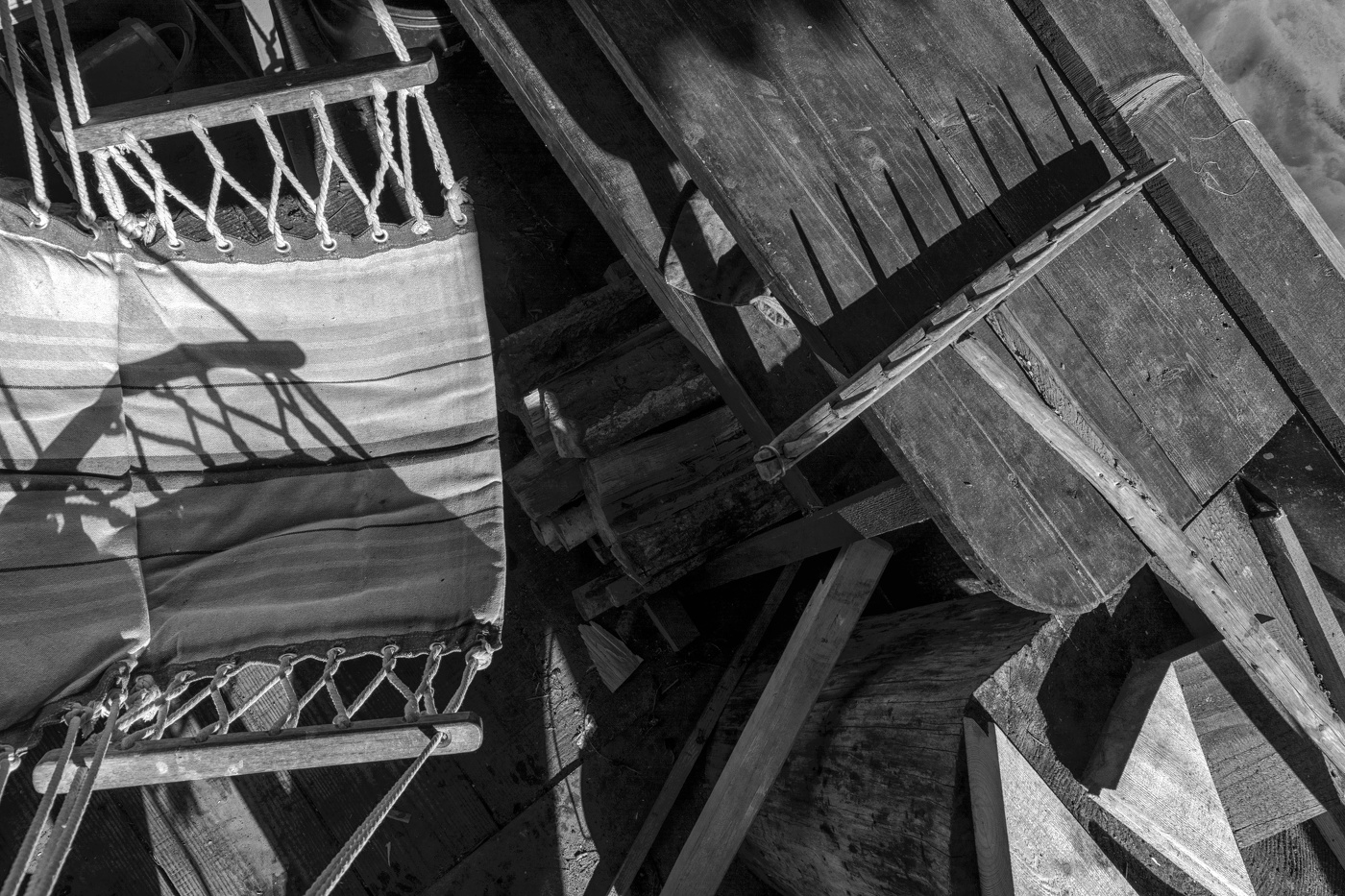 Жизнь вокруг