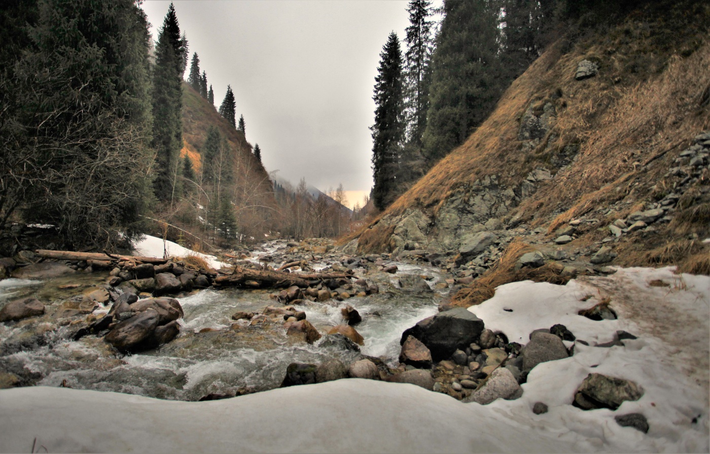 Начало весны