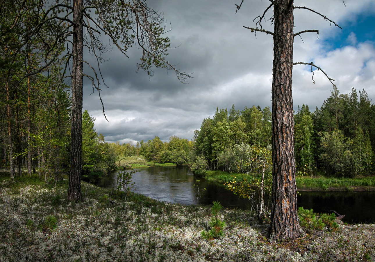 На самом краешке обрыва...