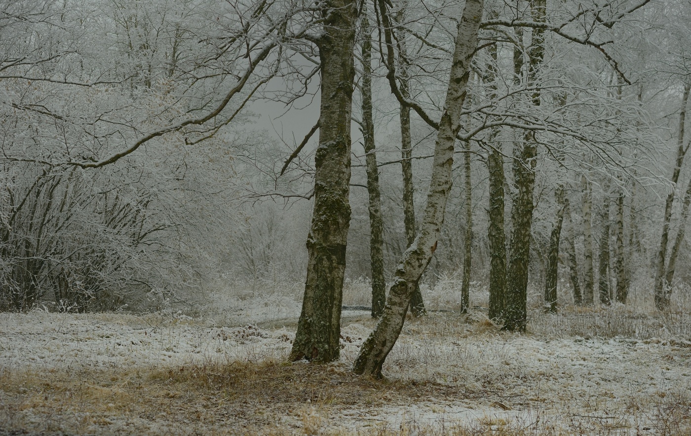 Пришла весна