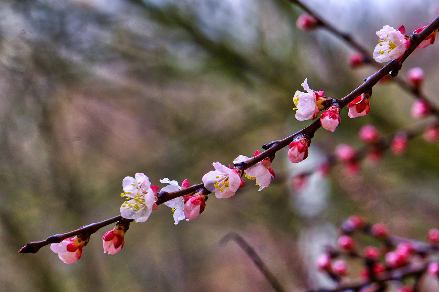 А у нас за окном