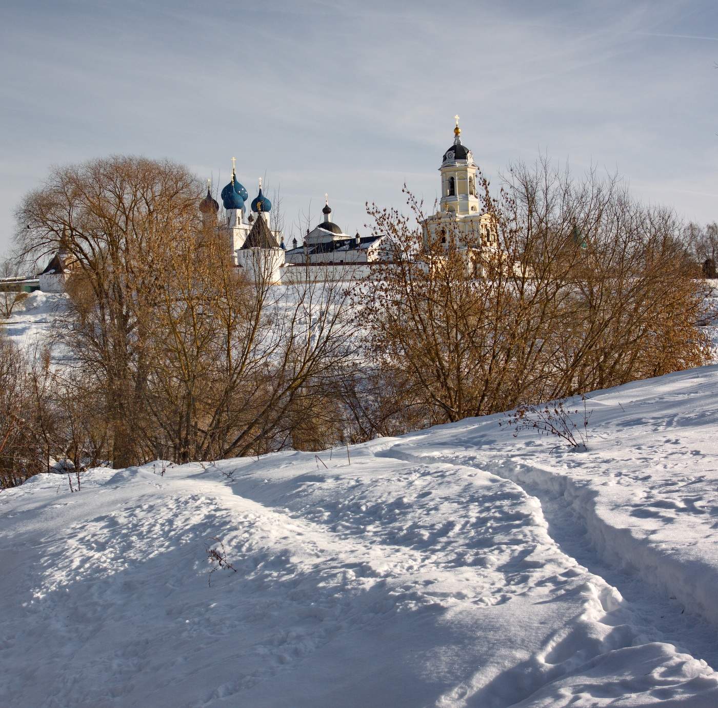 Глухозимье в Подмосковье