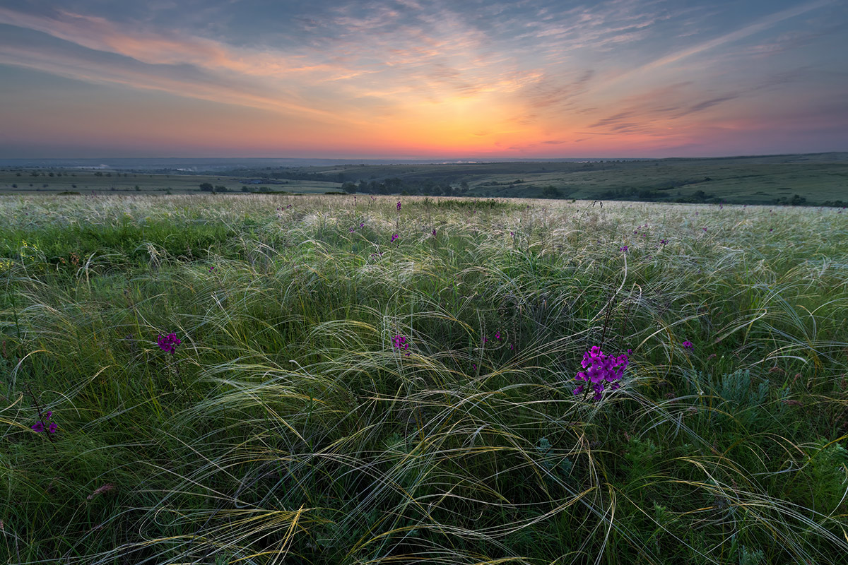 Просыпается степь