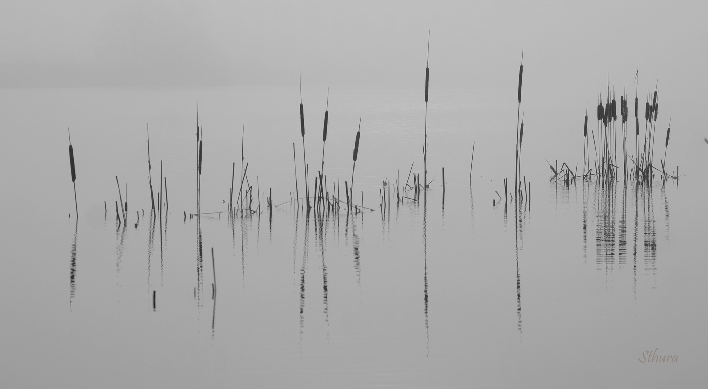 Весной на озере.
