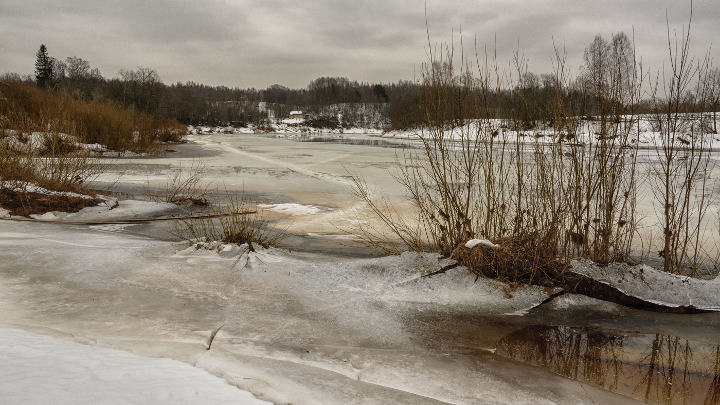 Жизнь вокруг