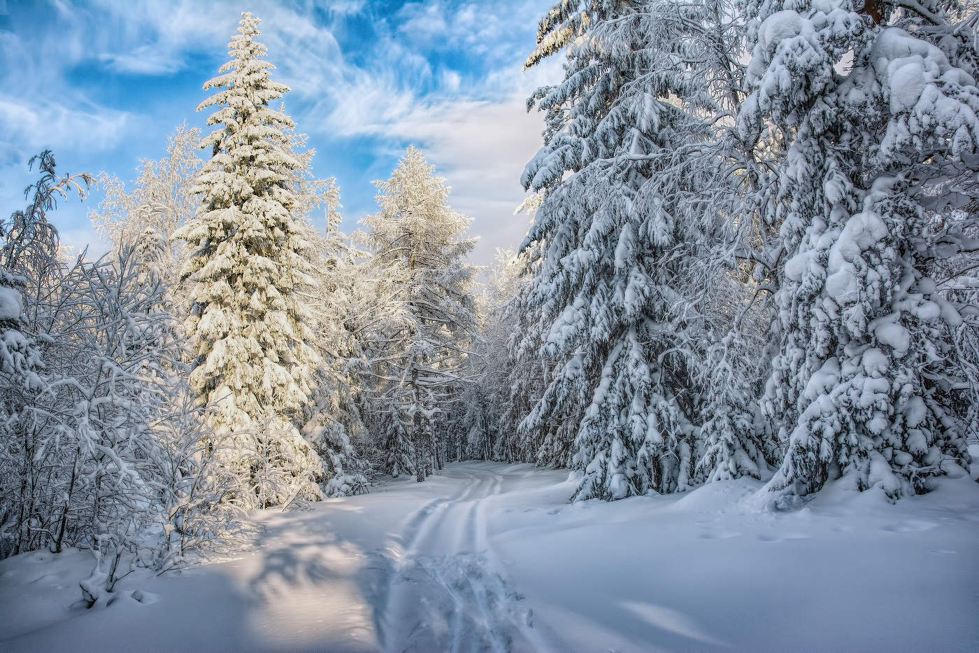 Погожий денёк