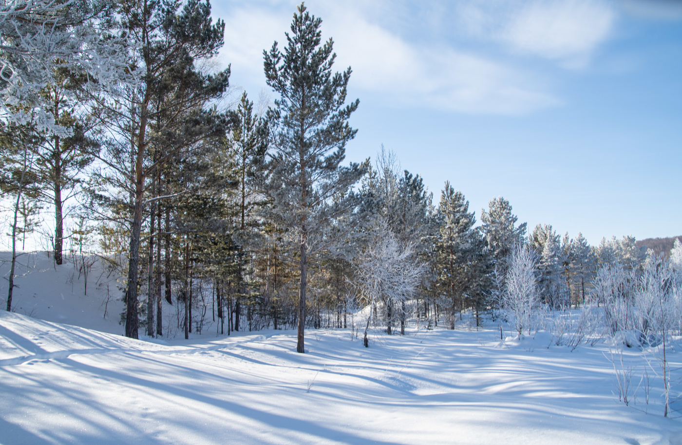 А на бережку все сосеночки в снежку