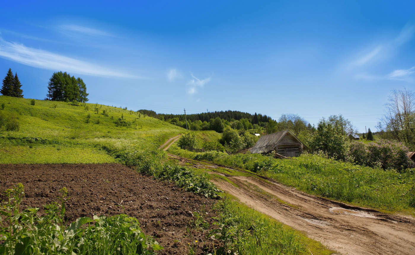 "Деревенский пейзаж"