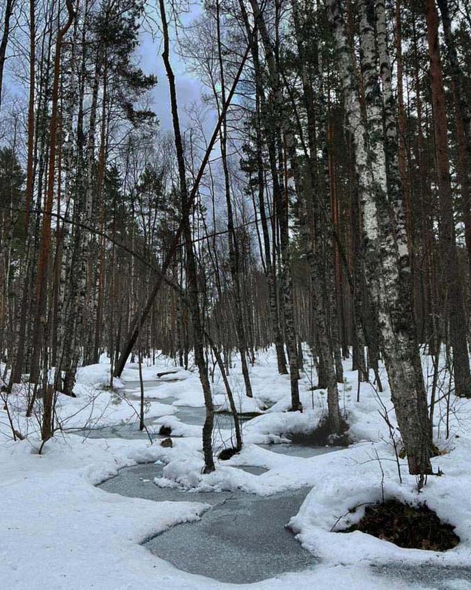 Предвестники весны