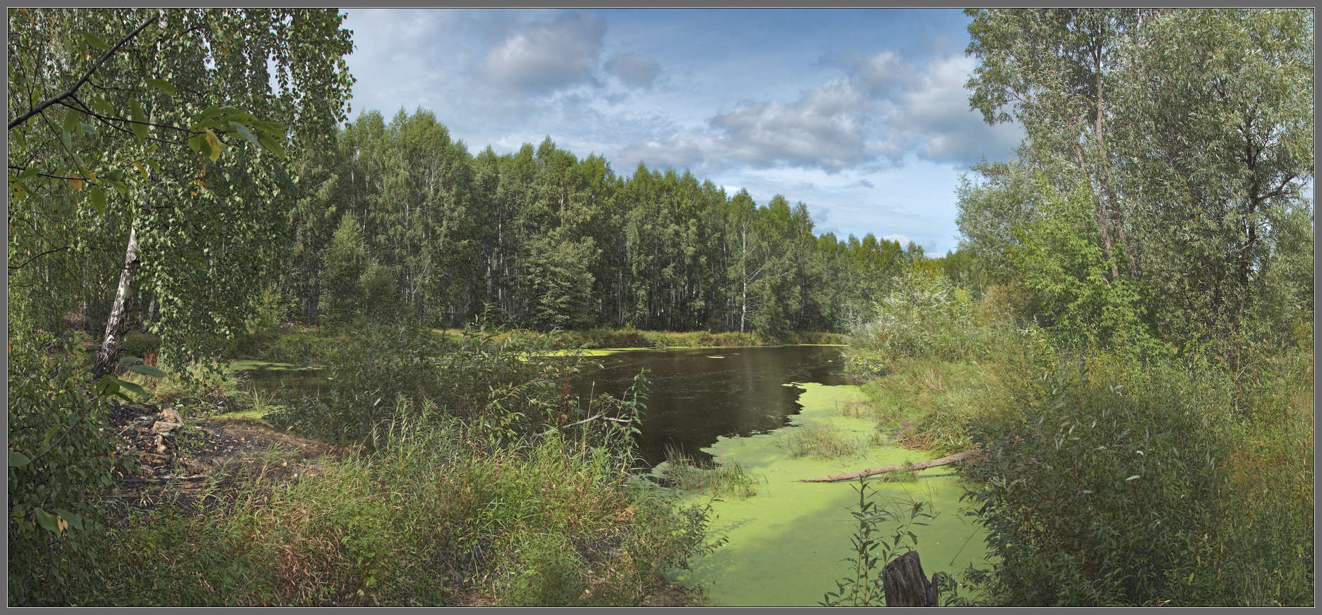 Вспоминая лето