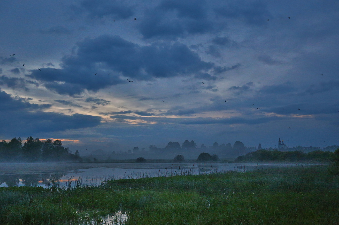 Утро на пруду