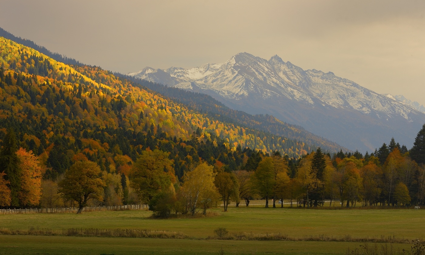 Осенний вечер
