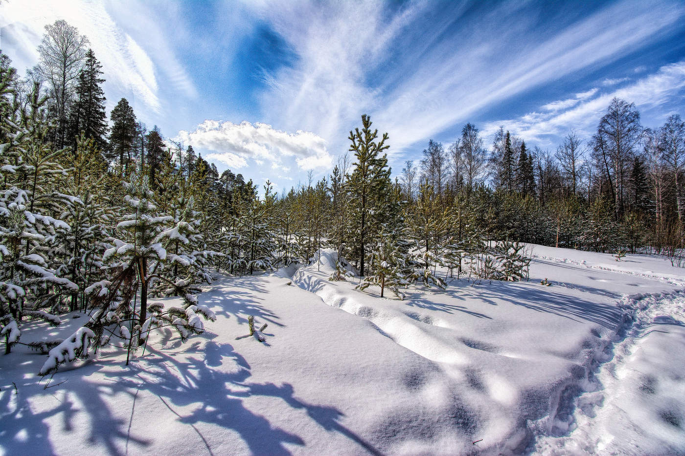 Весеннее небо