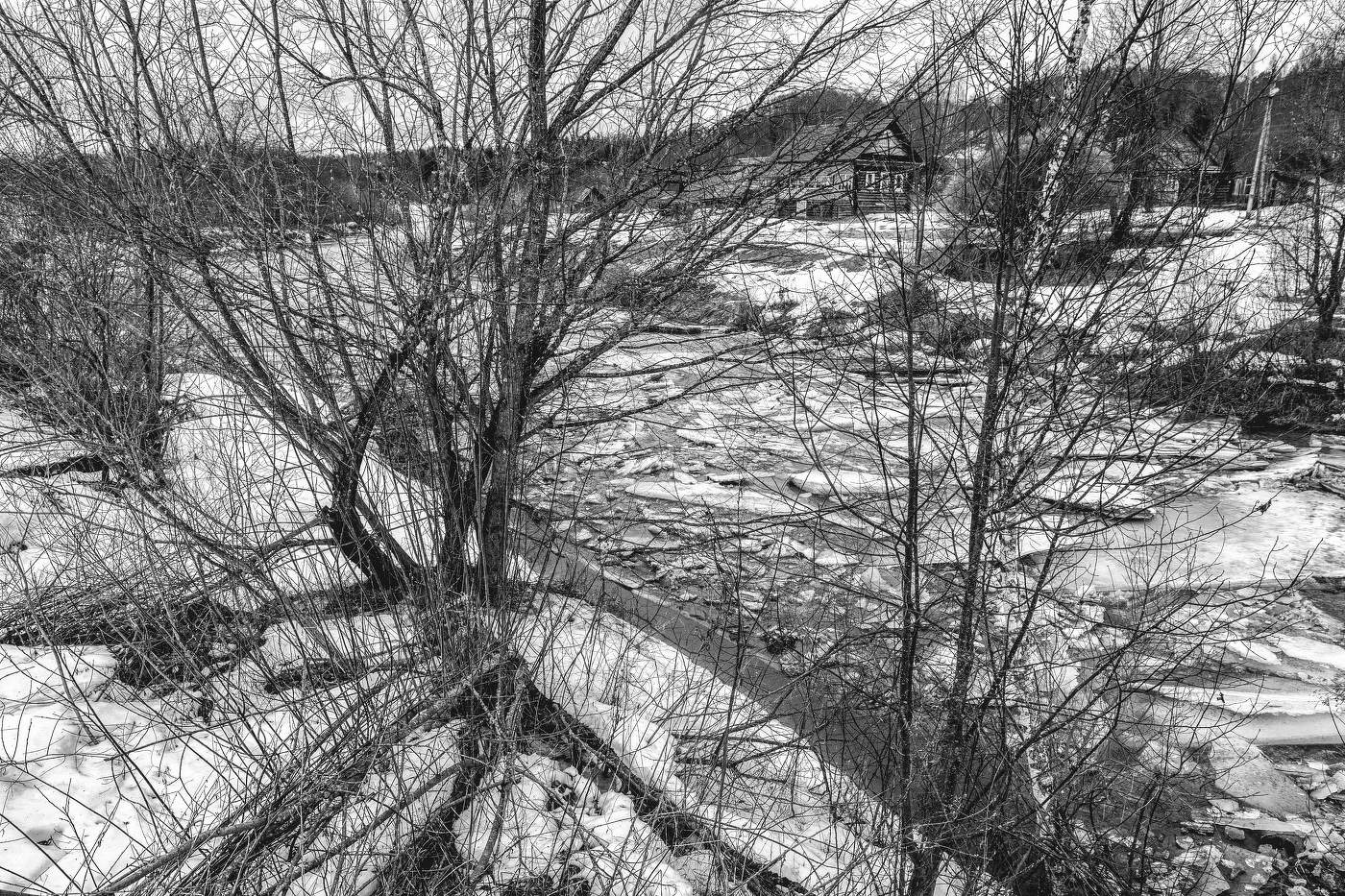 Жизнь вокруг