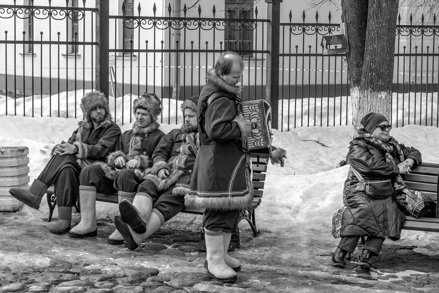 Ну взгляни ж на меня хоть один только раз !