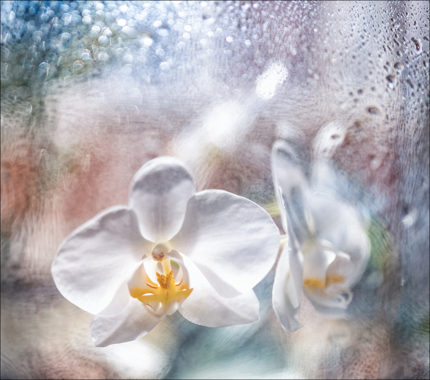 Цвет весны.