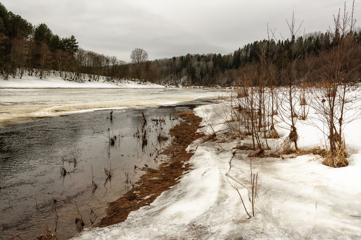 Жизнь вокруг