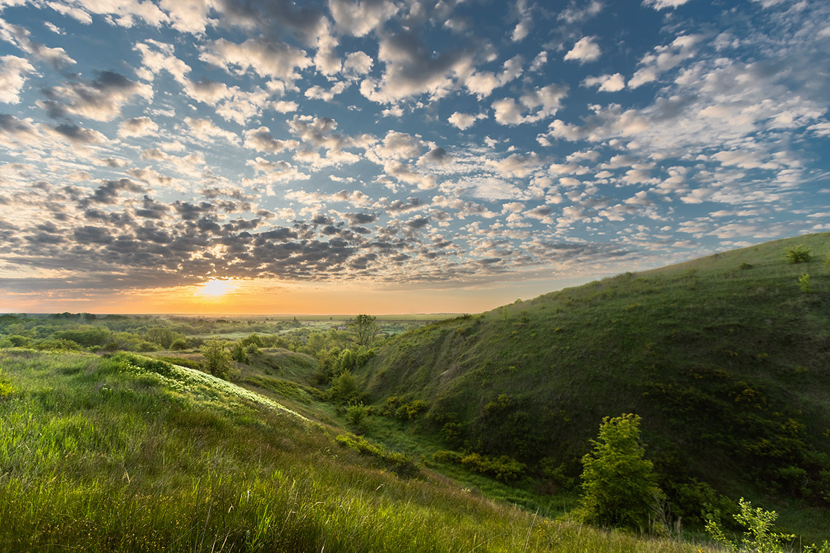 Степные картинки