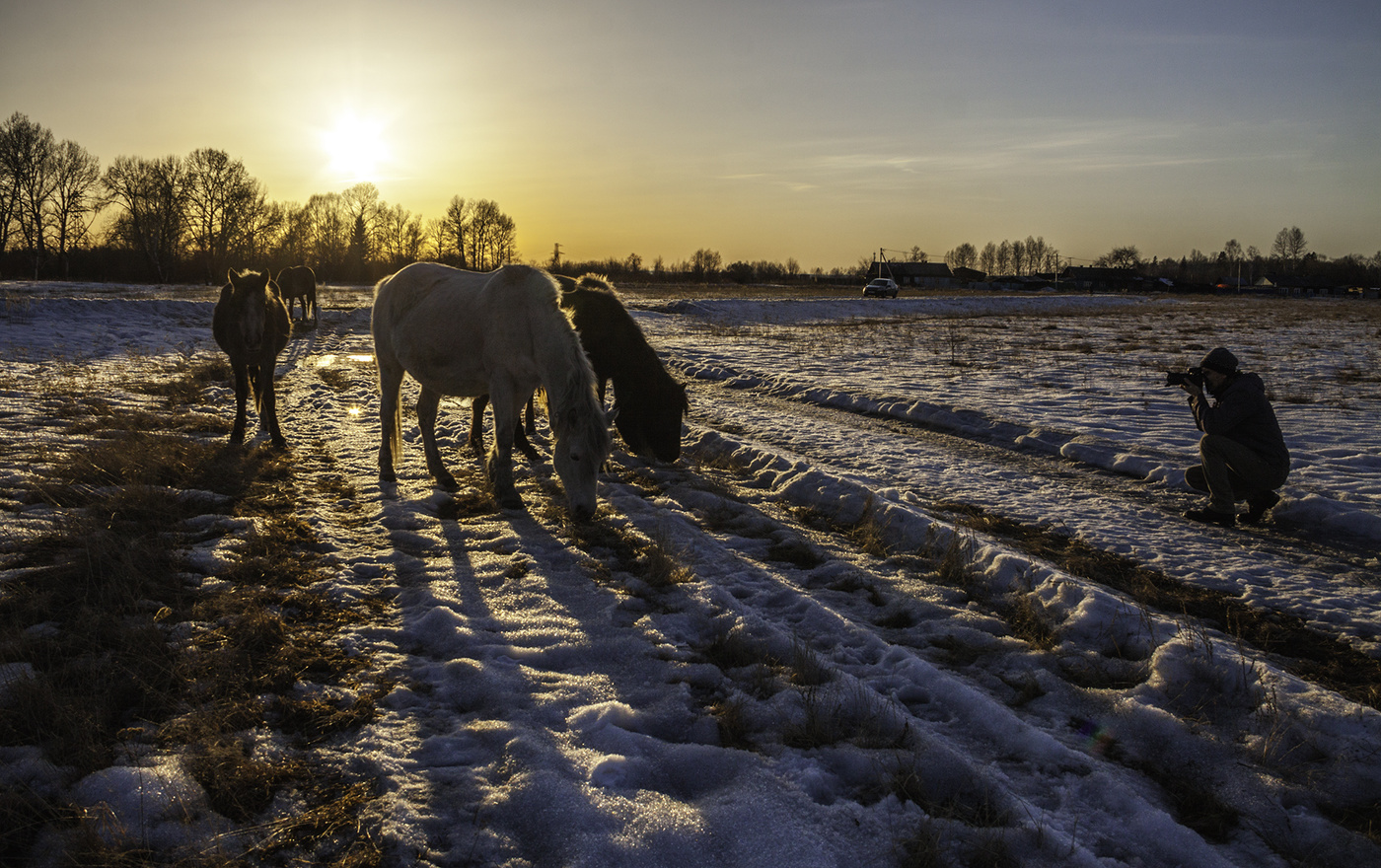 Фотосессия