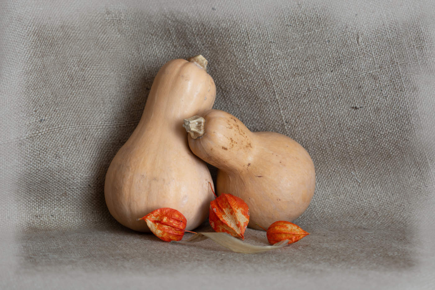 Физалис яркою звездой сияет...тыквам желтоватым...))))