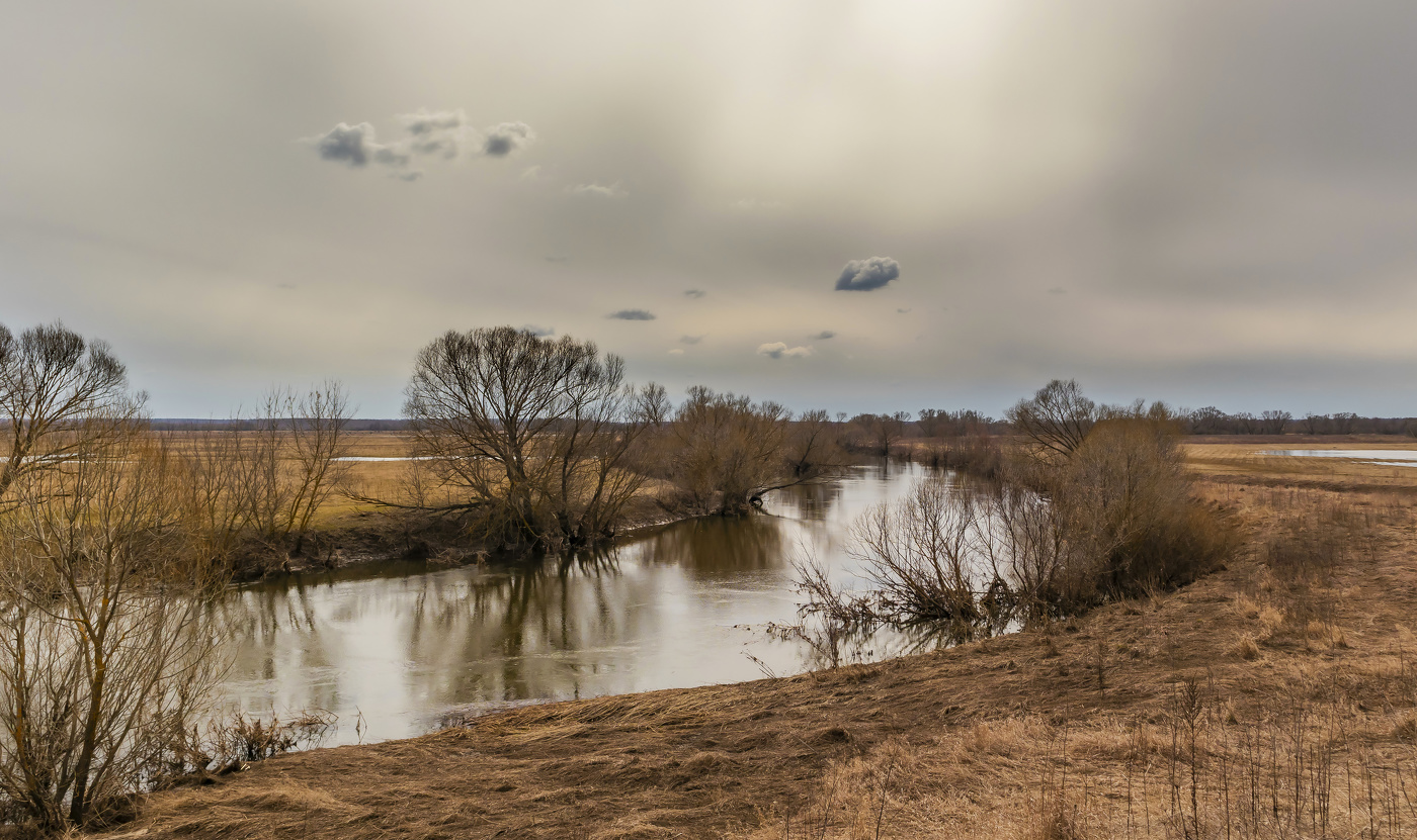 Весна, оттенки неба и земли.