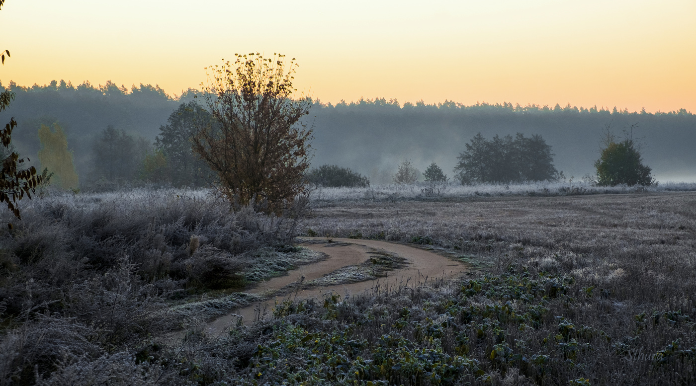 Осень в поле.