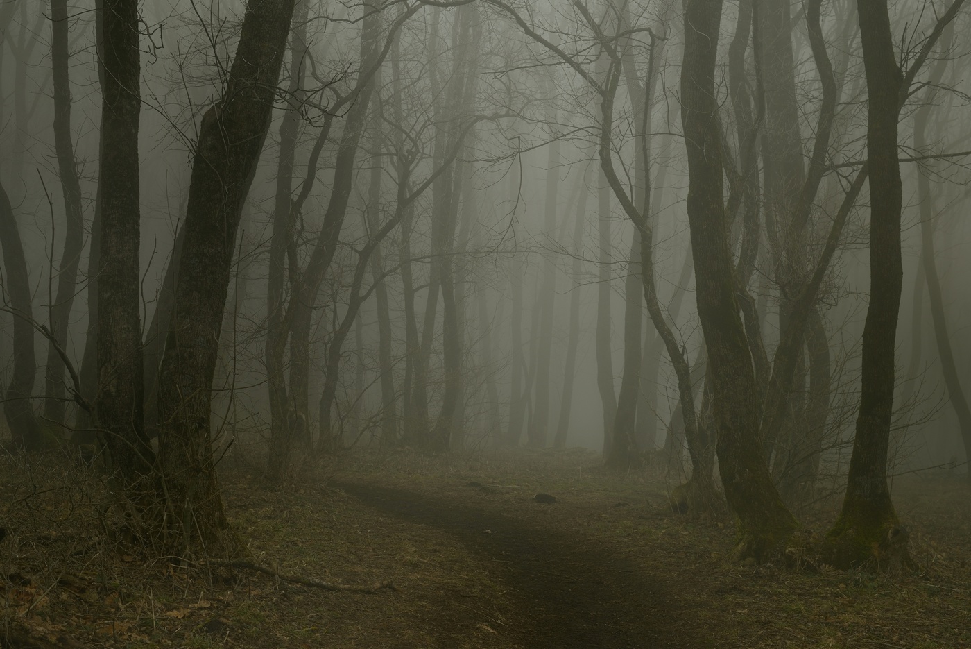 Хмурое утро